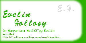 evelin hollosy business card